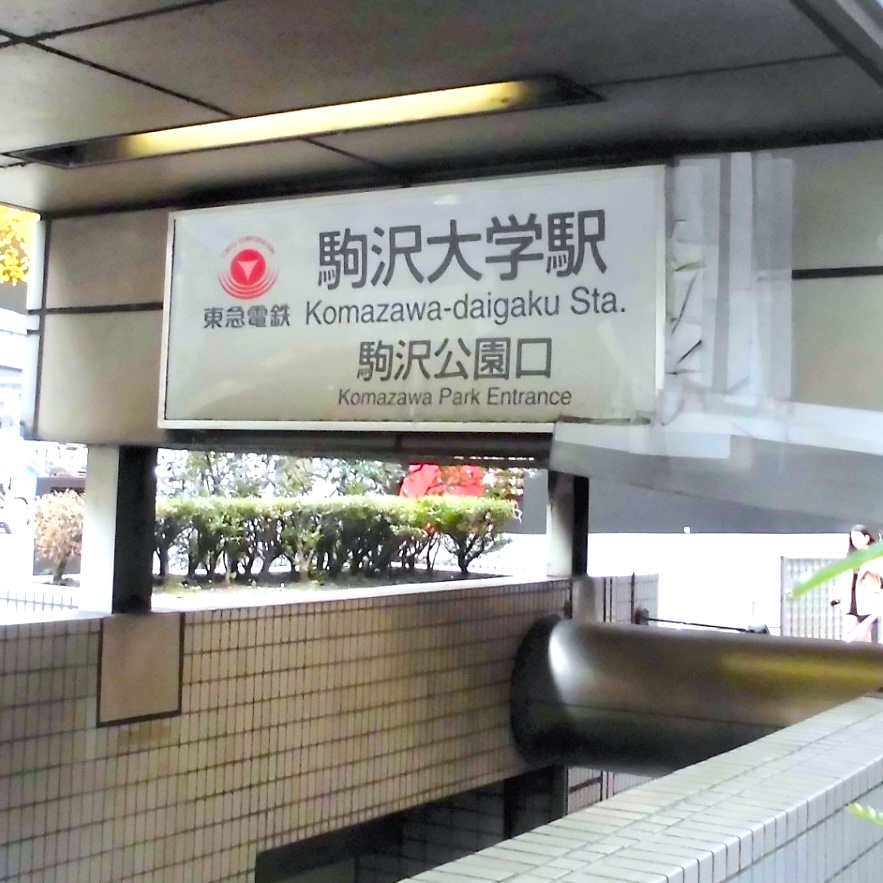東急田園都市線駒沢大学駅の写真-アイケアLaBo駒沢公園通り店からの写真